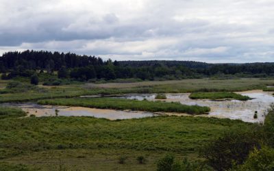 Gredelby Hagar och Trunsta träsk