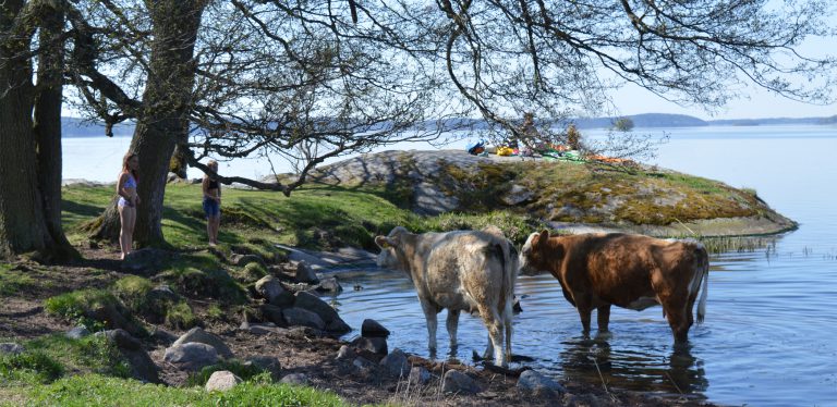 Kungshamn Morga - Visit Knivsta